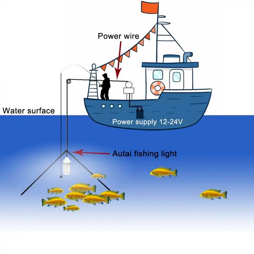 Understanding Sonar Technology Use Fishfinder Effectively Catch More Fish